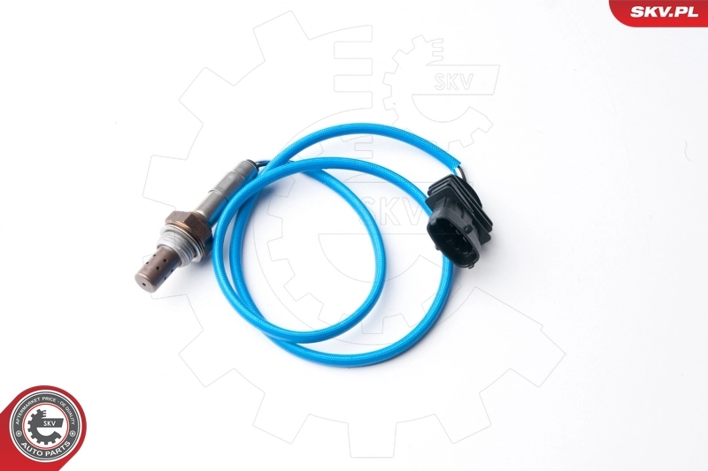 Oxygen Sensor